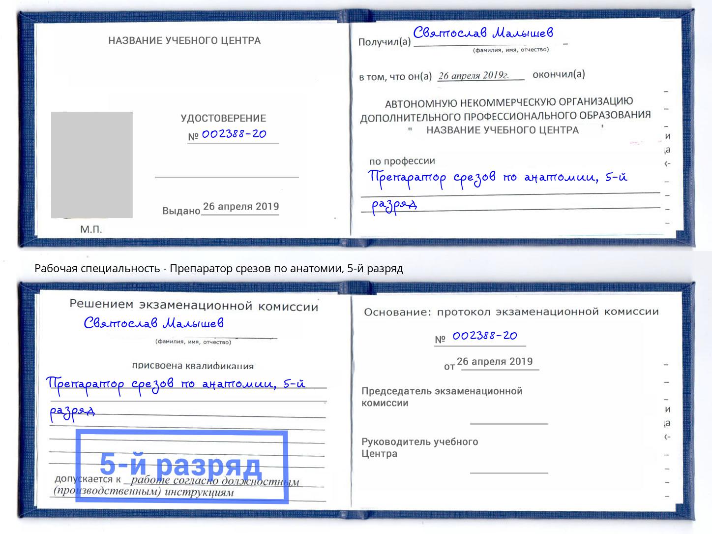 корочка 5-й разряд Препаратор срезов по анатомии Южно-Сахалинск