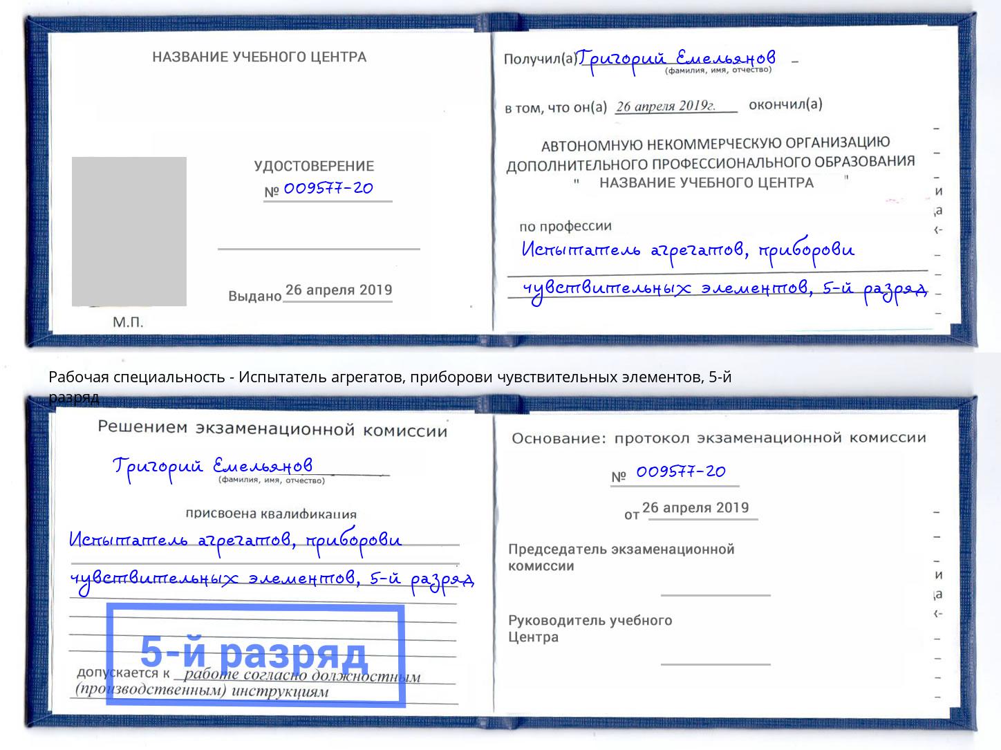 корочка 5-й разряд Испытатель агрегатов, приборови чувствительных элементов Южно-Сахалинск