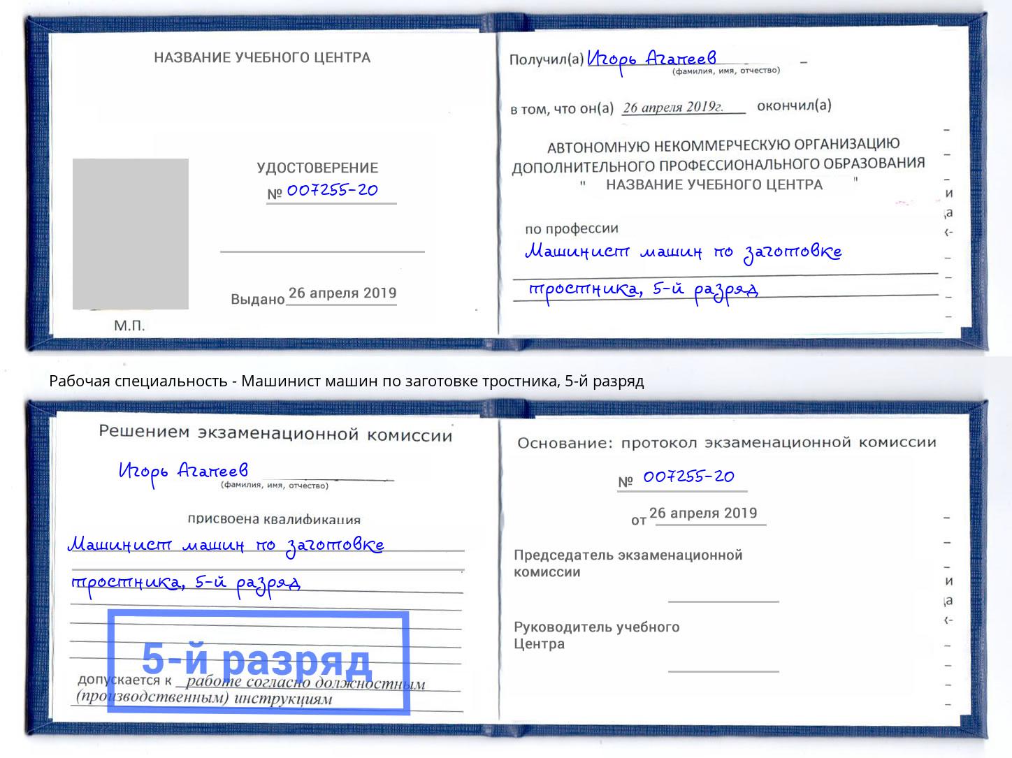 корочка 5-й разряд Машинист машин по заготовке тростника Южно-Сахалинск