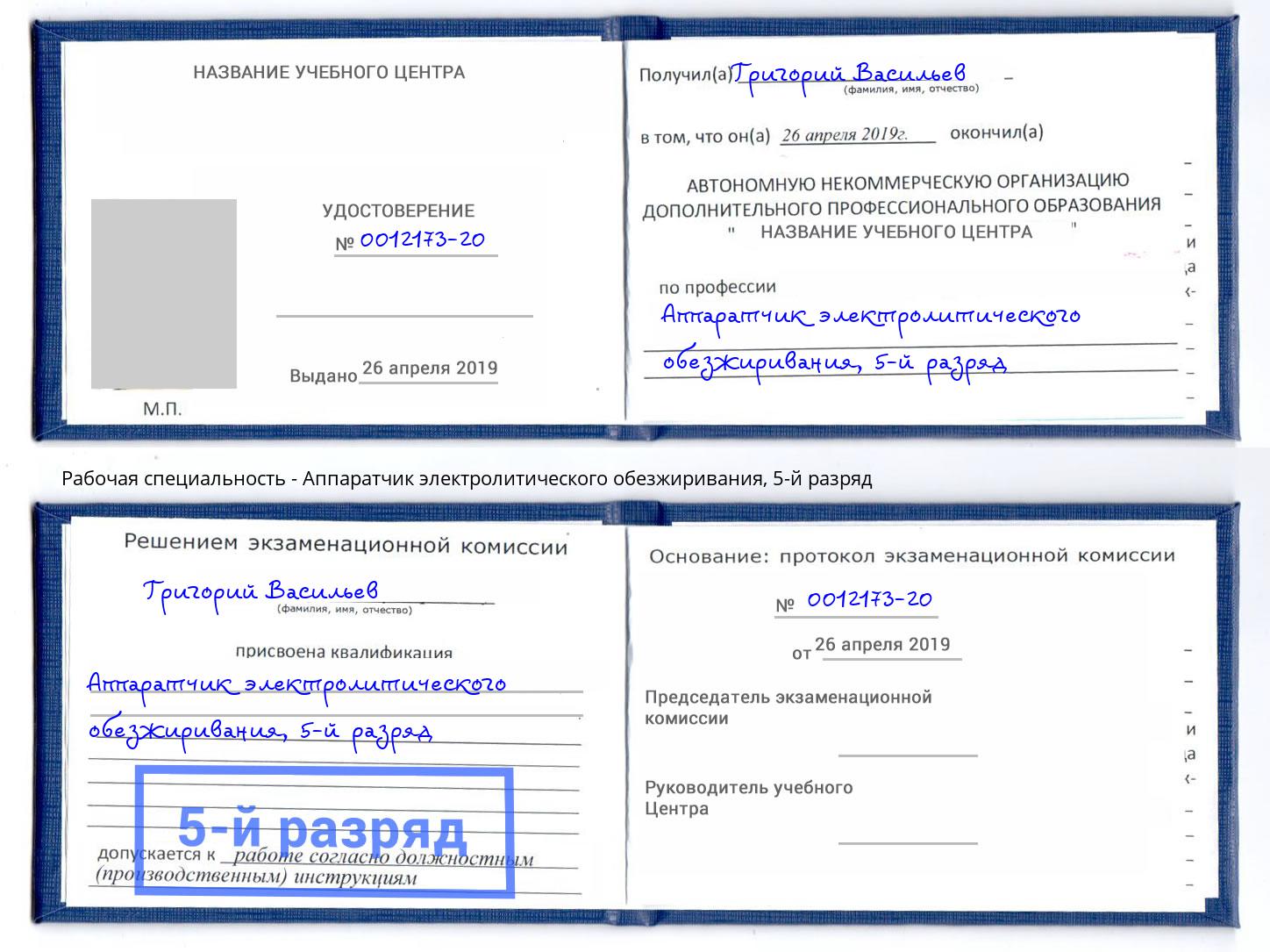 корочка 5-й разряд Аппаратчик электролитического обезжиривания Южно-Сахалинск