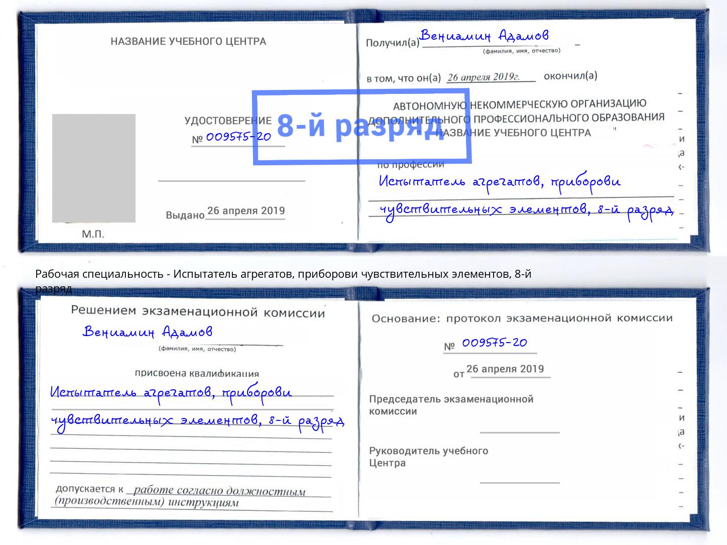 корочка 8-й разряд Испытатель агрегатов, приборови чувствительных элементов Южно-Сахалинск